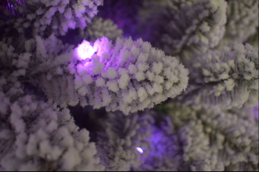 Best Selling Flocked Artificia - Home Decor Lighting Manufacturer recension och pris